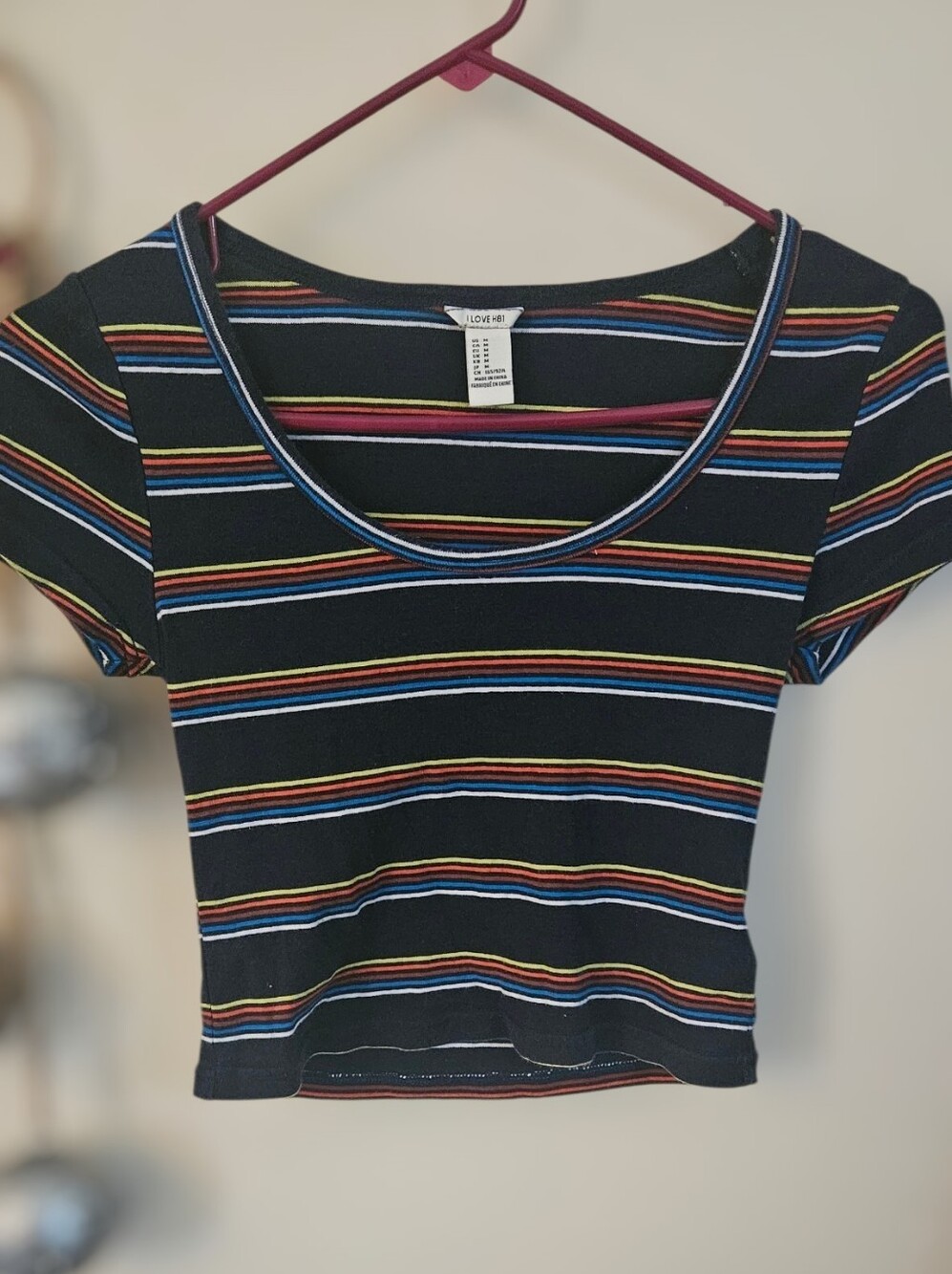 Black Multicolor Striped Scoop Neck Crop Top